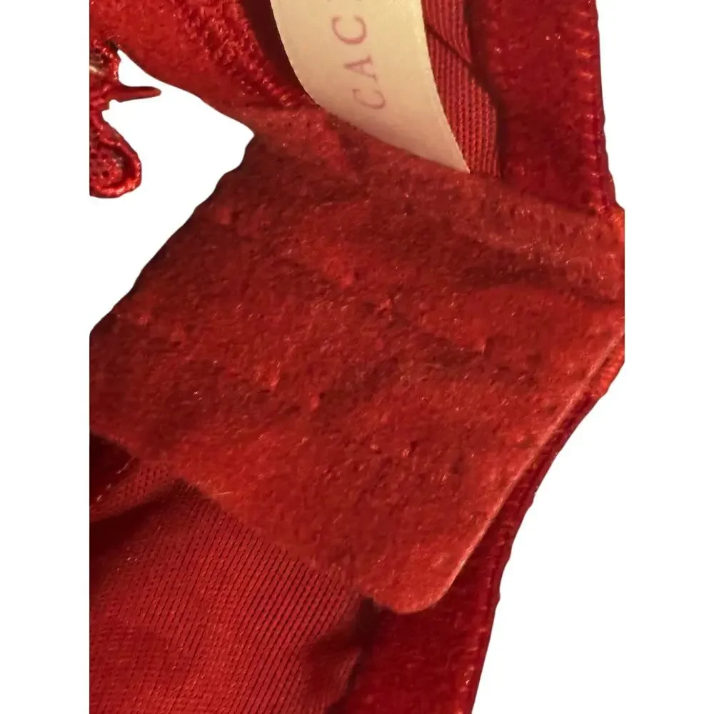 Cacique Full Coverage Bra 42D Underwire Red Mesh Overlay Padded Cup Adjustable